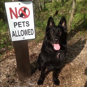 Meet your Posher, Julia